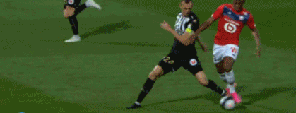 占旭刚任举重摔跤柔道中心主任，王励勤任乒羽中心副主任